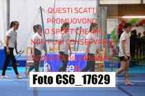 CS6_17629-