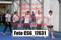 CS6_17631-