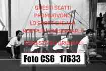 CS6_17633-