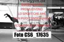 CS6_17635-
