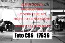 CS6_17636-