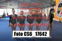 CS6_17642-