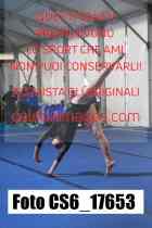CS6_17653-