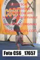 CS6_17657-