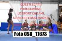 CS6_17673-