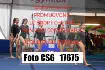 CS6_17675-