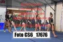 CS6_17676-
