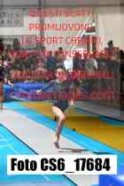 CS6_17684-