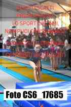 CS6_17685-