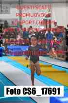 CS6_17691-