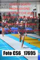 CS6_17695-