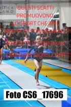 CS6_17696-