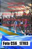 CS6_17703-