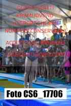 CS6_17706-