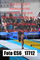 CS6_17712-