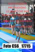 CS6_17715-