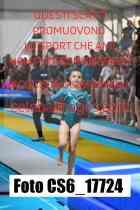 CS6_17724-