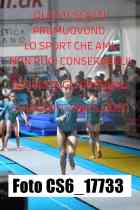 CS6_17733-