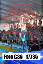 CS6_17735-