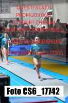 CS6_17742-