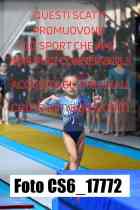 CS6_17772-