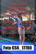 CS6_17780-