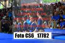 CS6_17782-
