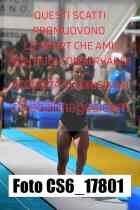 CS6_17801-