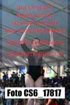 CS6_17817-