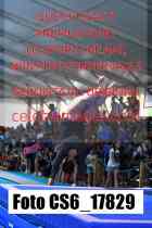 CS6_17829-