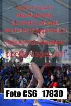 CS6_17830-