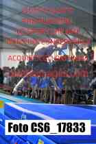 CS6_17833-