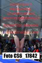 CS6_17842-