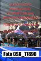 CS6_17890-