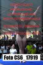CS6_17919-