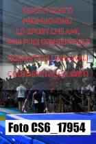 CS6_17954-
