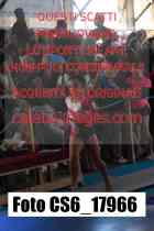CS6_17966-