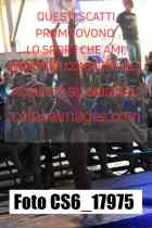 CS6_17975-