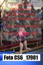 CS6_17981-