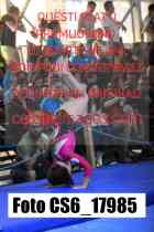 CS6_17985-