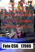 CS6_17986-
