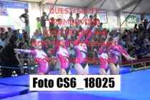 CS6_18025-