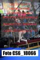 CS6_18066-