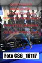CS6_18117-