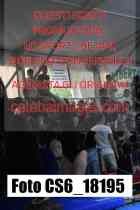 CS6_18195-
