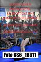 CS6_18311-