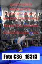 CS6_18313-