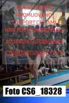 CS6_18328-