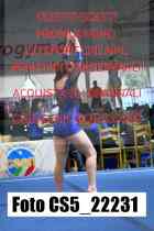 CS5_22231-