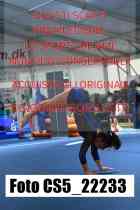 CS5_22233-